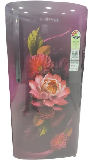 LG GL-B211HRWD, 201 Ltrs 3 Star Inverter Direct Cool Single Door Refrigerator, Blue Euphoria
